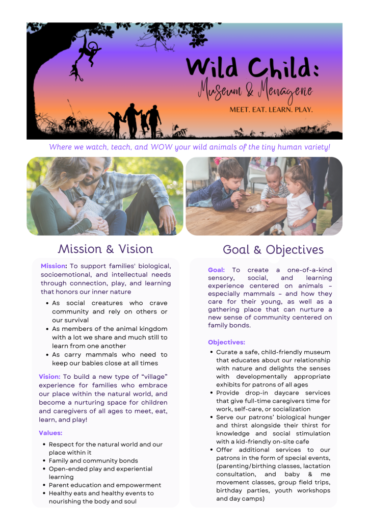 Full page document outlining Wild Child's Mission, Vision, Values, Goal, and Objectives